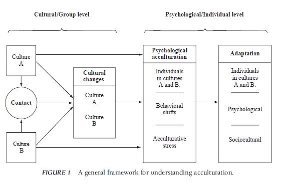 Acculturation Research Paper f1