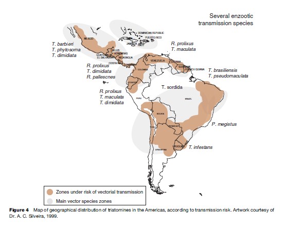 Chagas Disease Research Paper