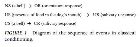 Classical Conditioning Research Paper f1