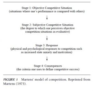 Competition in Sport Research Paper