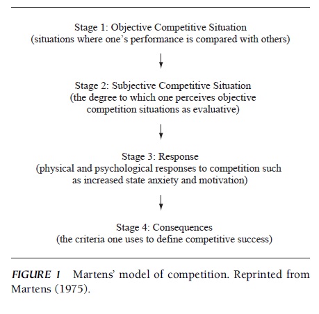 combat sports research paper