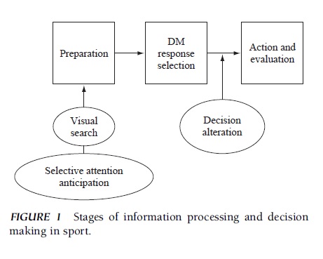 Decision Making in Sport Research Paper 