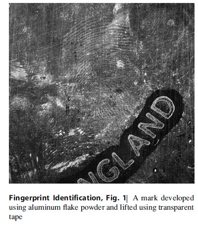 Fingerprint Identification, Fig. 1