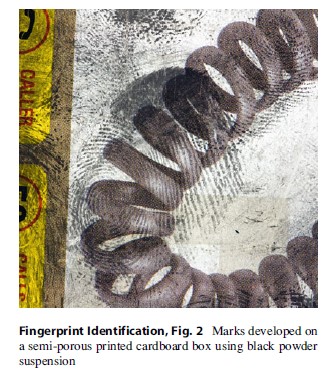 Fingerprint Identification, Fig. 2