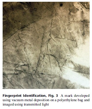 Fingerprint Identification, Fig. 3