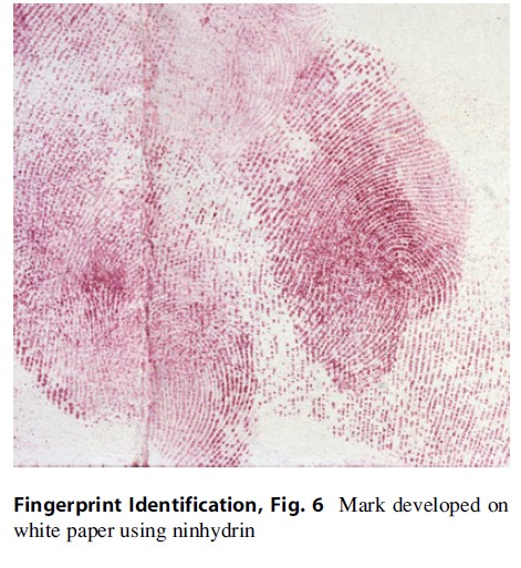 Fingerprint Identification, Fig. 6
