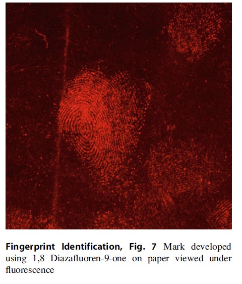 Fingerprint Identification, Fig. 7