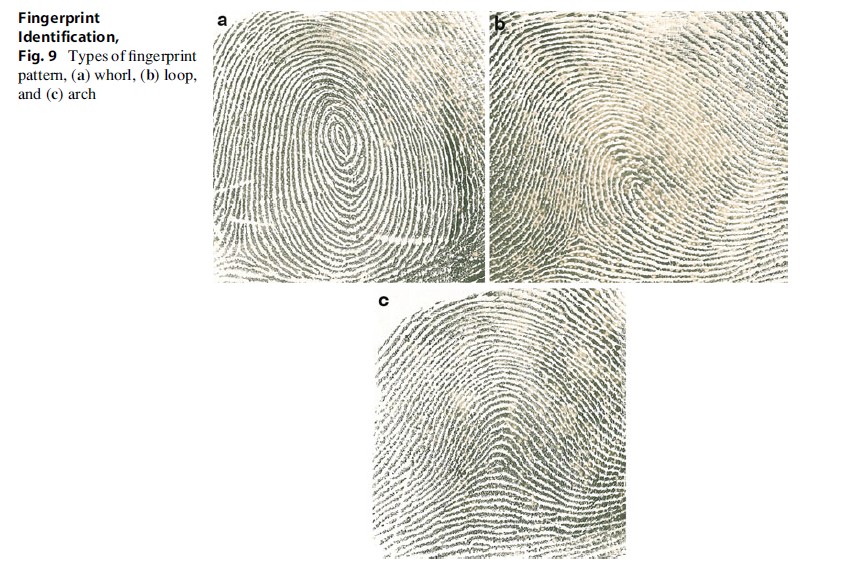 Fingerprint Identification, Fig. 9
