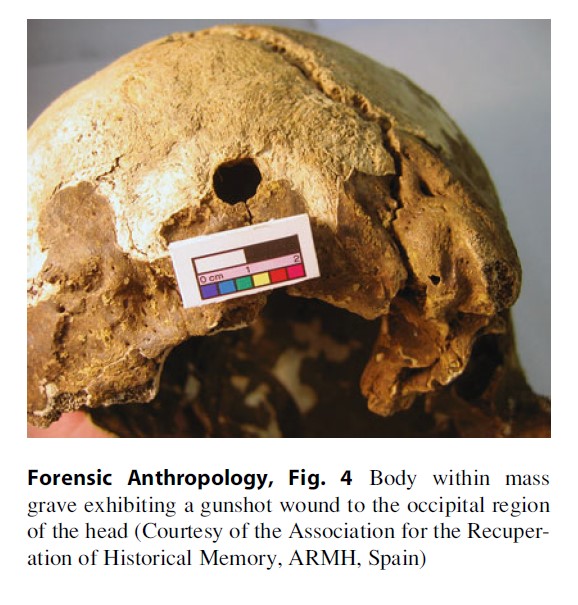 forensic anthropology research papers
