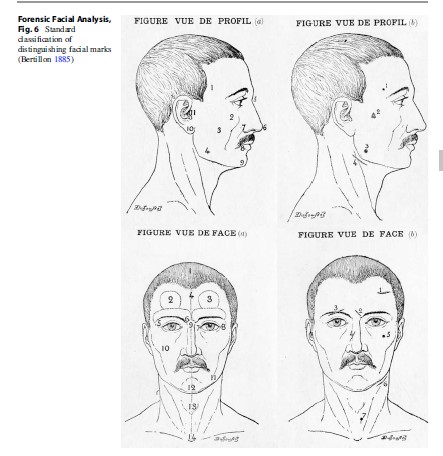 Forensic Facial Analysis, Fig. 6