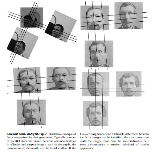 Forensic Facial Analysis, Fig. 7