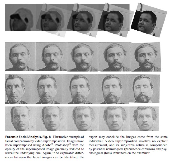 Forensic Facial Analysis, Fig. 8