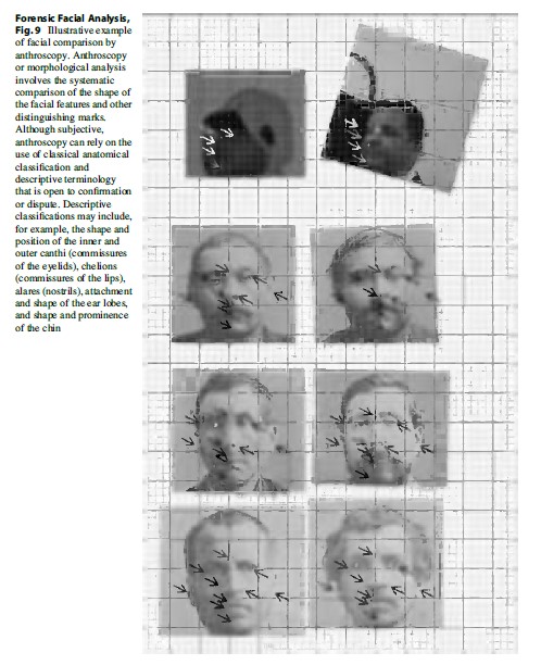 Forensic Facial Analysis, Fig. 9