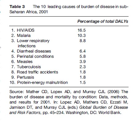 Health Systems of Sub-Saharan Africa Research Paper