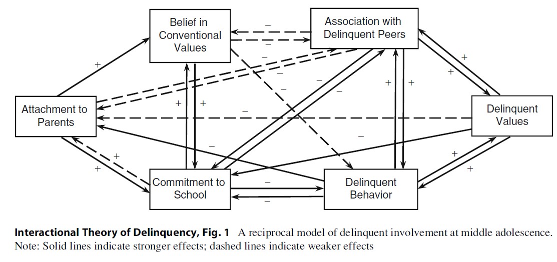 Interactional Theory of Delinquency Research Paper