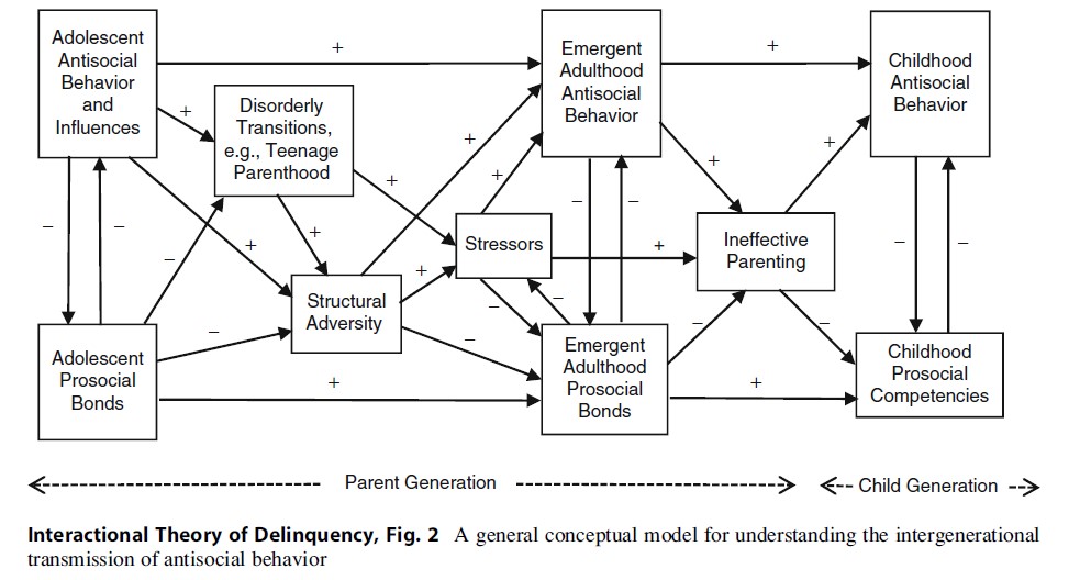 Interactional Theory of Delinquency Research Paper