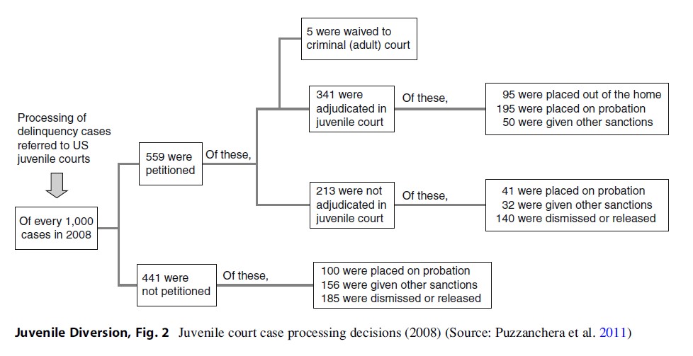 Juvenile Diversion Research Paper