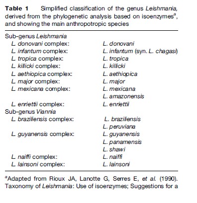 Leishmaniasis Research Paper