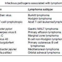 Lymphomas Research Paper