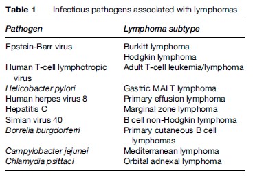 Lymphomas Research Paper