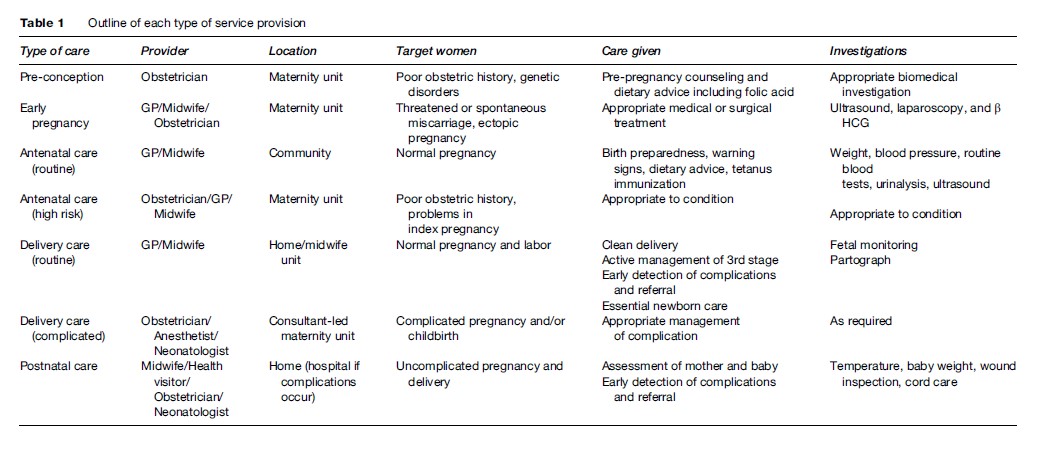 Maternal Health Services Research Paper