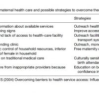 Maternal Health Services Research Paper