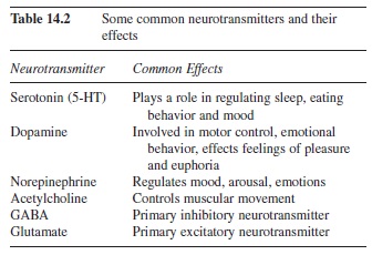 neurotransmission-research-paper-t2