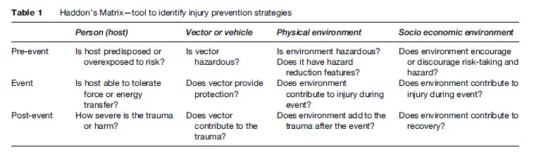 Occupational Injuries and Workplace Violence Research Paper