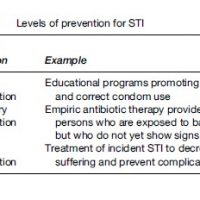 Sexually Transmitted Infections Research Paper