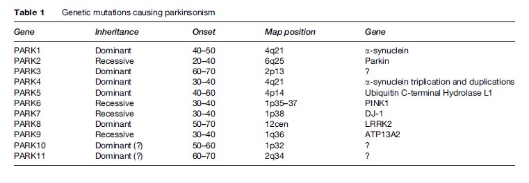 Parkinson’s Disease Research Paper