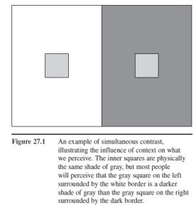 research paper topics in visual perception