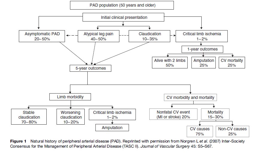 Peripheral Arterial Disease Research Paper