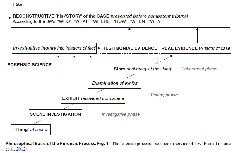 Philosophical Basis of The Forensic Process Research Paper