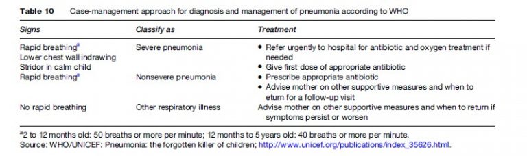 Pneumonia Research Paper Example - EssayEmpire