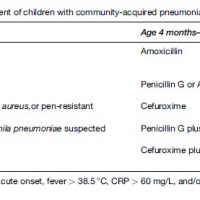 Pneumonia Research Paper