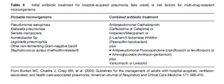 Pneumonia Research Paper Example - EssayEmpire