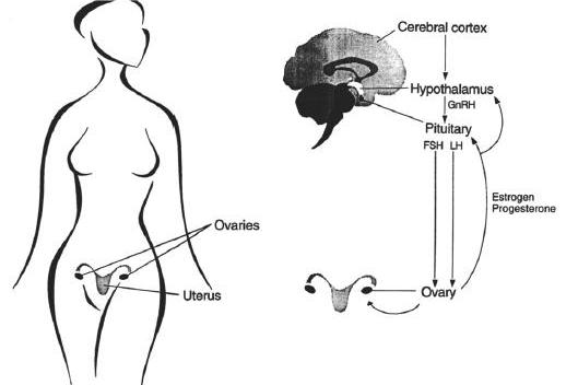Pre-Menstrual Syndrome Treatment Figure-1