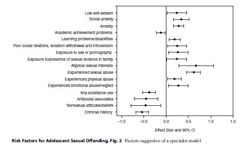Risk Factors For Adolescent Sexual Offending Research Paper