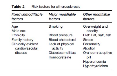 research paper on risk factors