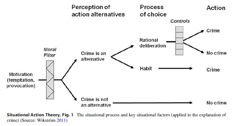 Situational Action Theory Research Paper