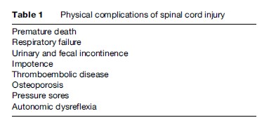 Spinal Injury Research Paper