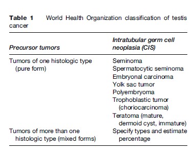 Testicular Cancer Research Paper