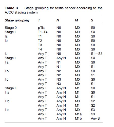 Testicular Cancer Research Paper