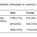 The Burden of Mortality of Smoking Research Paper