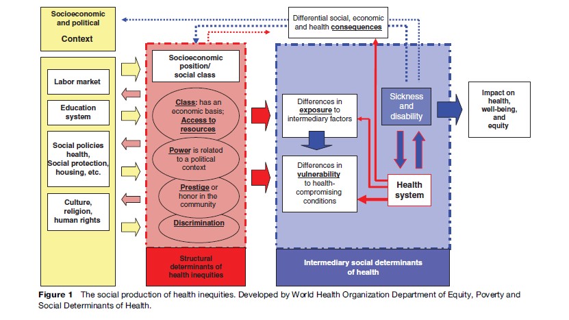 The UN Commission of Social Determinants of Health Research Paper