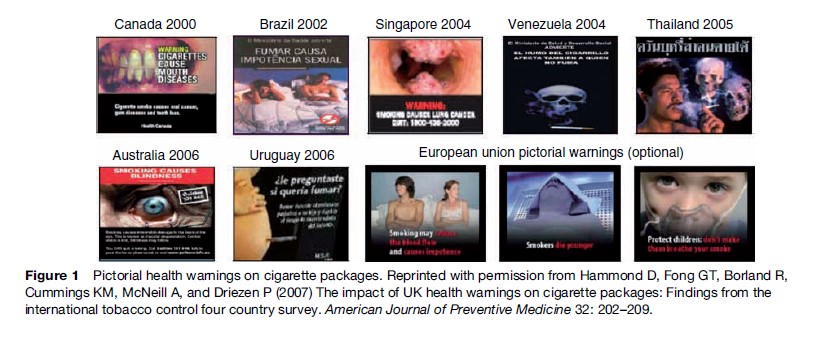 Tobacco Harm Minimization Research Paper