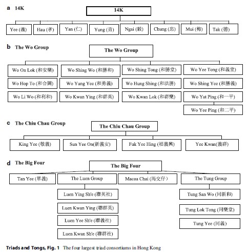 Triads and Tongs Research Paper