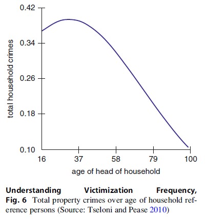 Understanding Victimization Frequency Research Paper
