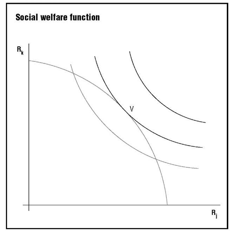 welfare research paper