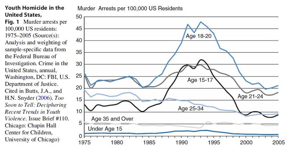 Youth Homicide in The US Research Paper